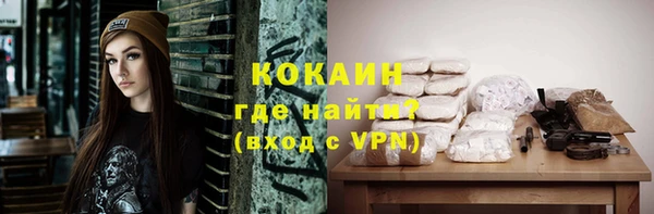 дживик Богородицк