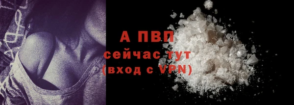 не бодяженный Бородино