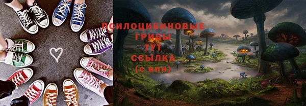дживик Богородицк