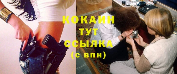 дживик Богородицк