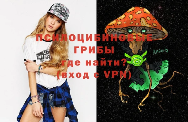 дживик Богородицк