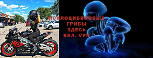дживик Богородицк