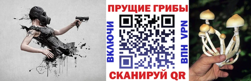 Галлюциногенные грибы Psilocybine cubensis  Пермь 